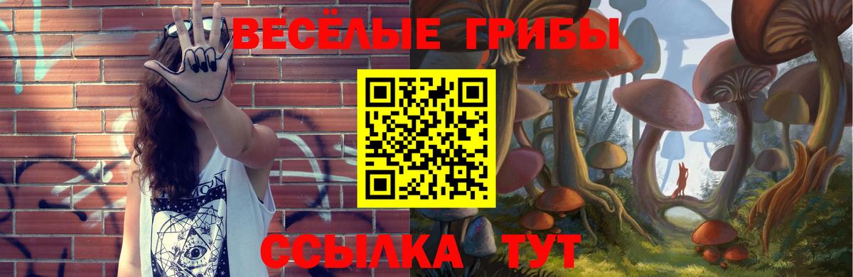 Галлюциногенные грибы Psilocybe Кстово