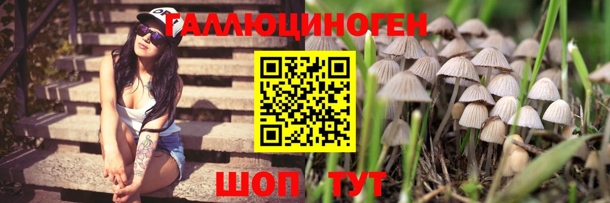 Кстово  где найти   Вход с VPN  Псилоцибиновые грибы GOLDEN TEACHER 