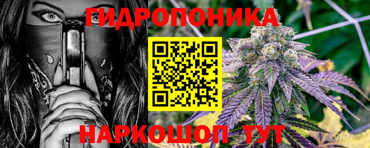 Конопля ГИДРОПОН  Бошки Шишки семена  Шишки марихуана MAZAR  Кстово  Вход с VPN 